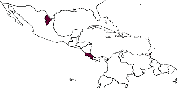 map of Mariola flava     Noyes, 1980